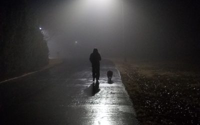 Husk lys og reflekser når du lufter hunden